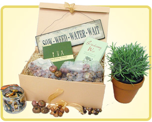 Green Fingered Gardeners Hamper Green Fingered Gardeners Hamper