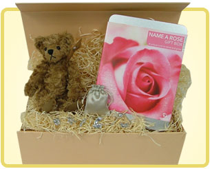 'Name a Rose' - New Baby Gift 'Name a Rose' - New Baby Gift
